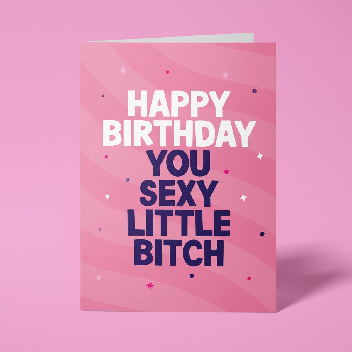 Pink rude birthday card featuring 'Happy Birthday Your Sexy Little Bitch' in bold white and purple lettering