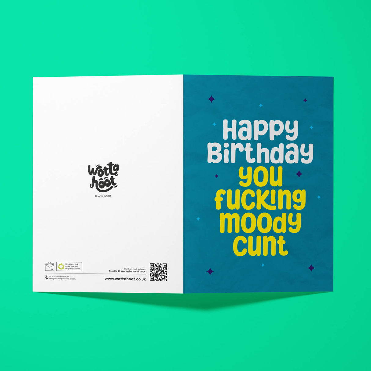 Bold and Colourful Rude Birthday Card with Cheeky Message – A5 Size with White Envelope