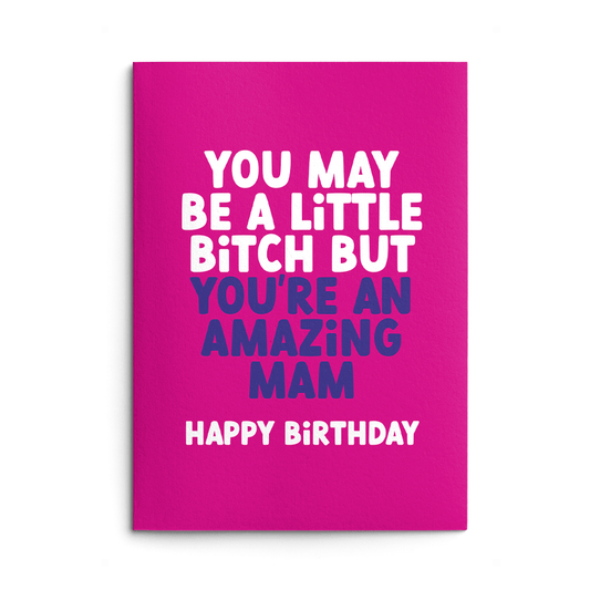 Little Bitch Mam Rude Birthday Card