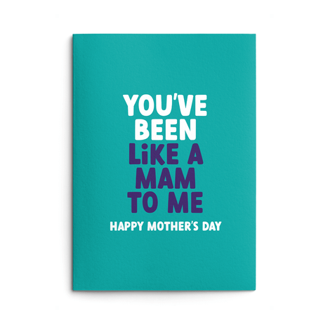 Mam Mother's Day Card text reads "You've been like a Mam to me. Happy Mother's Day"