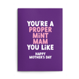 Mam Mother's Day Card text reads "You're a proper mint Mam you like Happy Mother's Day"