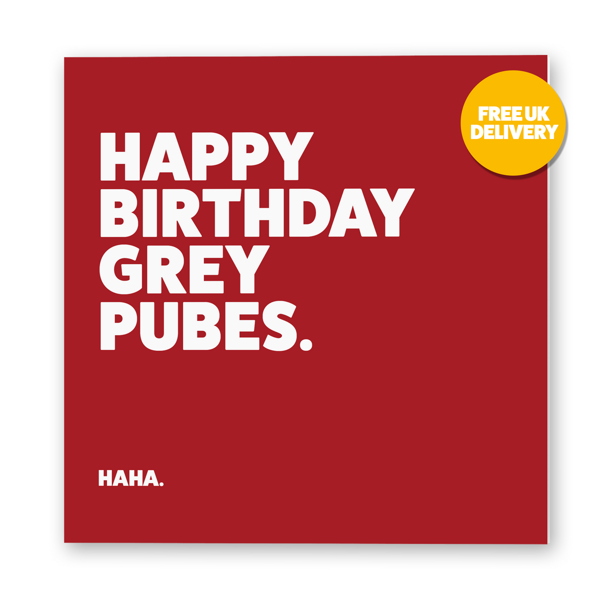 SALE Grey Pubes Rude Birthday Card