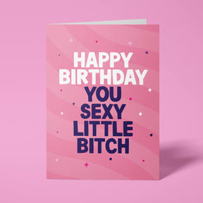 Pink rude birthday card featuring 'Happy Birthday Your Sexy Little Bitch' in bold white and purple lettering
