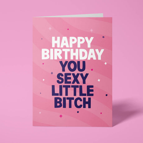 Pink rude birthday card featuring 'Happy Birthday Your Sexy Little Bitch' in bold white and purple lettering